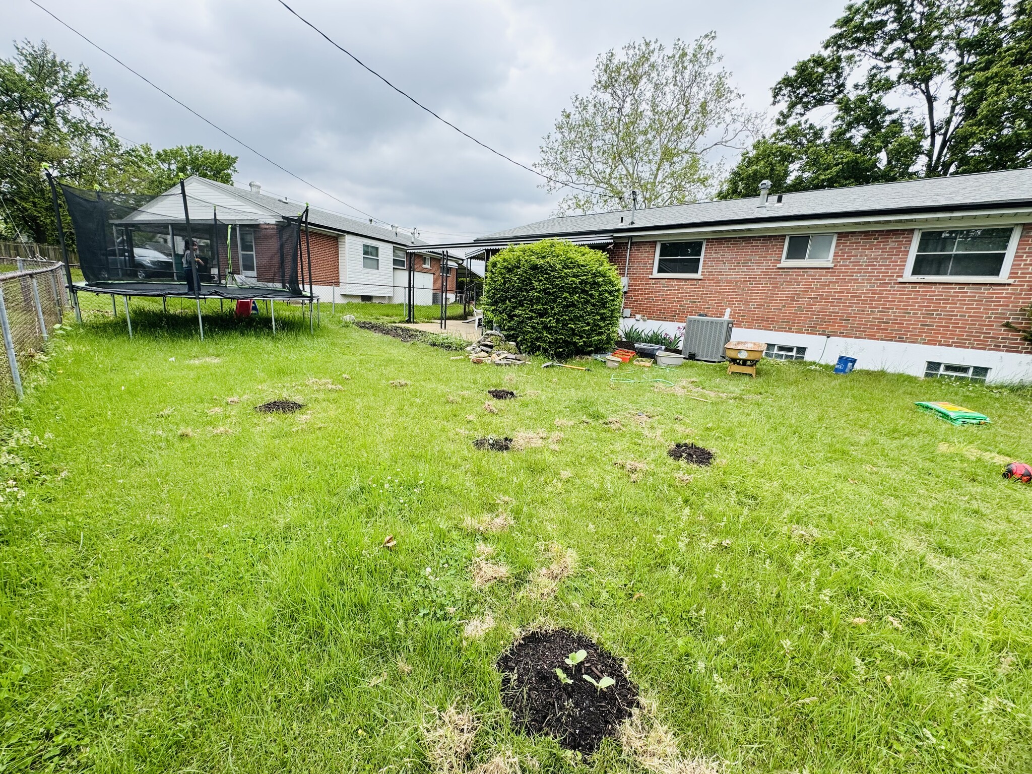 Backyard - 246 Union Rd