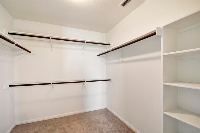 Building Photo - 741 Twisted Oaks Ln