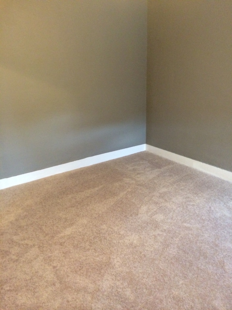 TV Room - 1340 S Hanover St