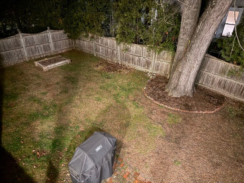 Backyard - 274 Prospect St
