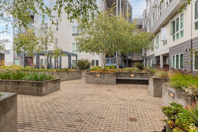 Courtyard - View Point