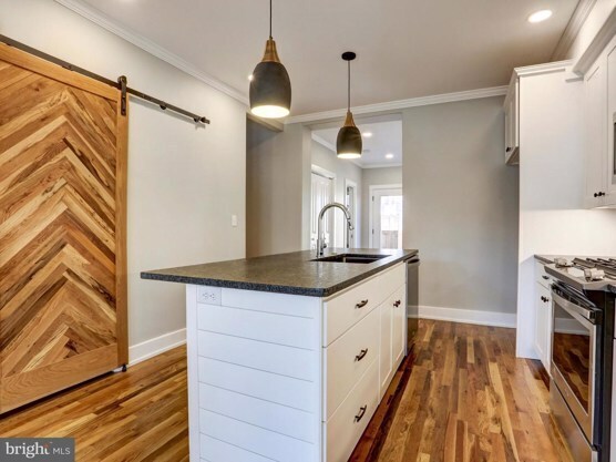 Kitchen + Pantry behind wooden door - 255 New Holland Ave