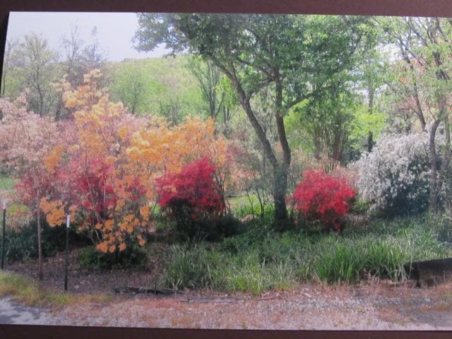 Building Photo - $1,600 - 2 Bed / 1.5 Bath House on Caney Fork with Stunning Landscaped Gardens