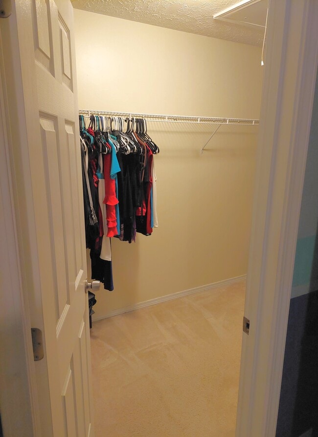 Building Photo - 5390 Skip Jack Dr