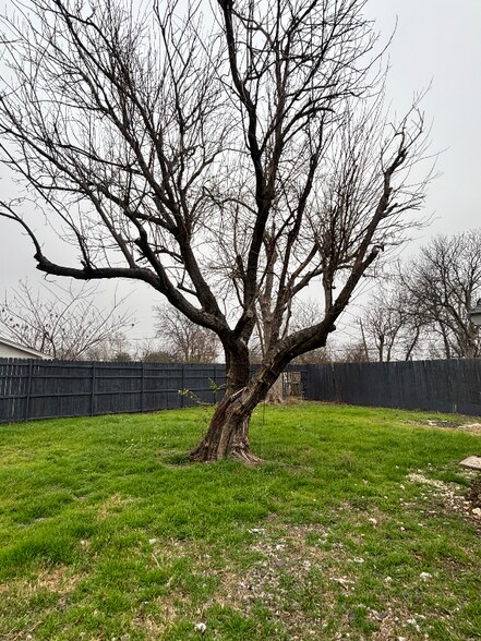 Building Photo - 3950 Ambrose Cir