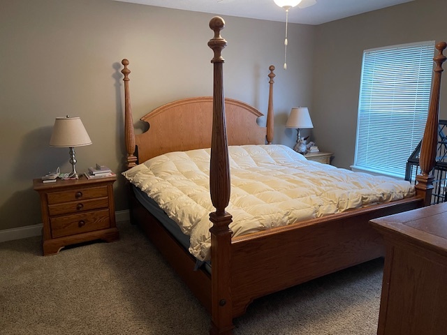 master bedroom - 4101 Trilithon Ct