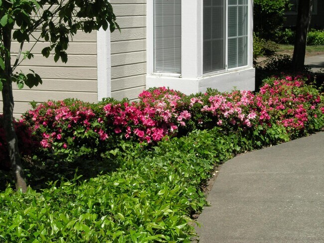 Building Photo - 1920 Lazzini Ave