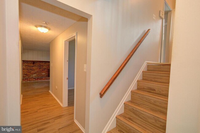 Building Photo - 311 Beech St