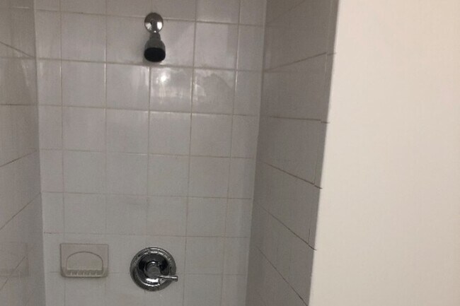 Basement bathroom/shower - 1204 Florida Ave NE