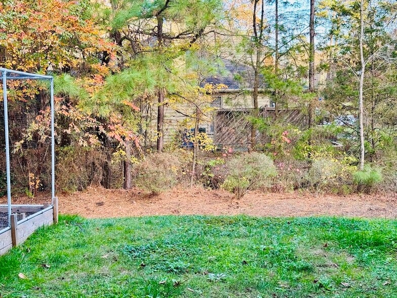 Backyard - 844 Horton Rd