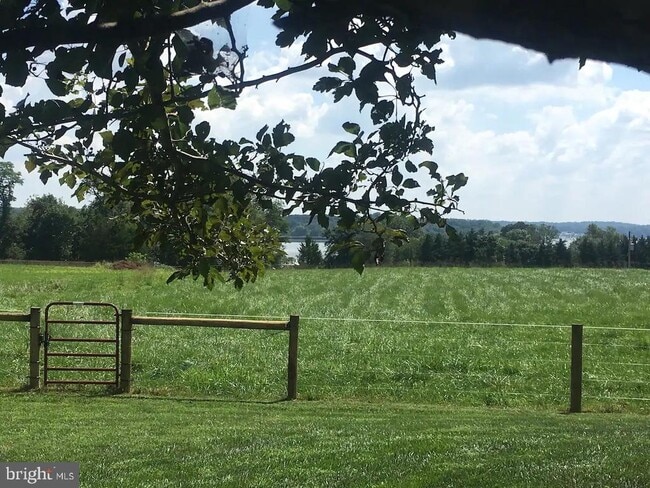 Building Photo - 137 Elk Ranch Park Rd