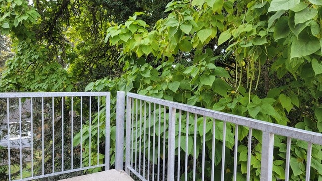 Building Photo - 6960 SW Canyon Rd