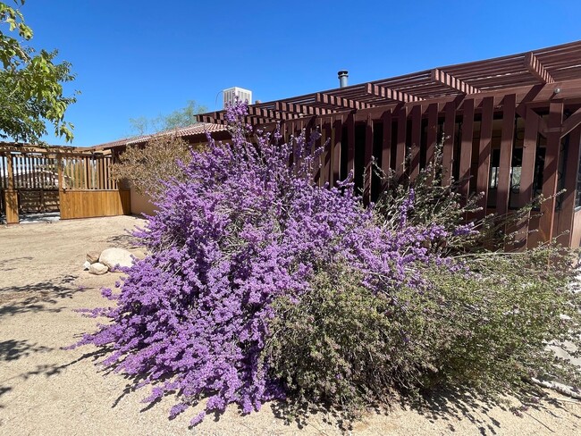 Building Photo - Charming Joshua Tree Village Home