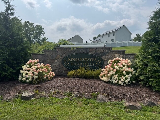 Building Photo - Available Dec 17th - Gorgeous Mountain Vie...