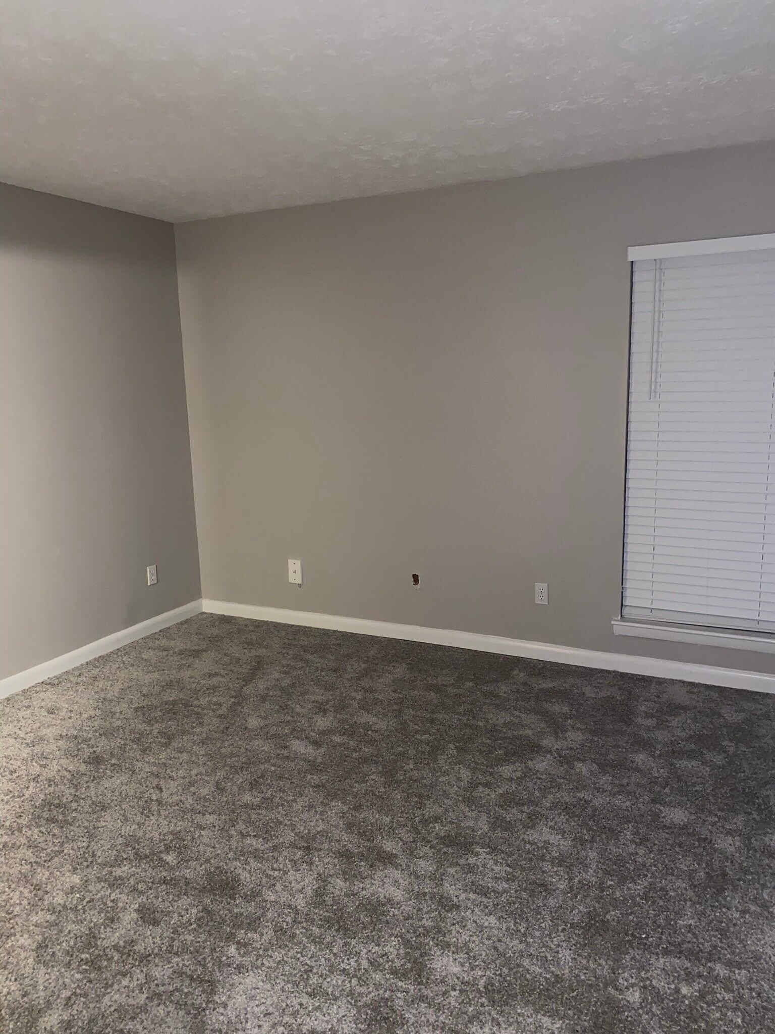 1st Floor Bedroom - 1131 Roselawn Ln SE