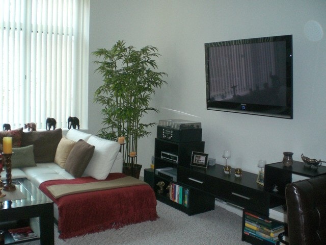 Living area 2 - 211 E Ohio st.
