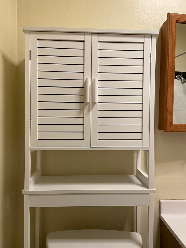 Additional storage in bathroom - 40 WEIDER ST
