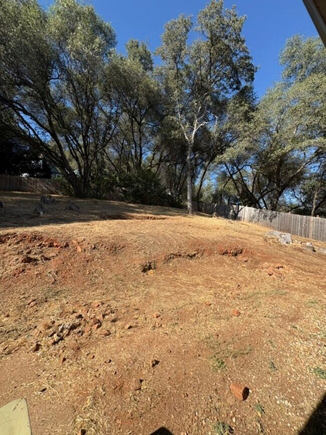 Building Photo - 12499 Incline Dr