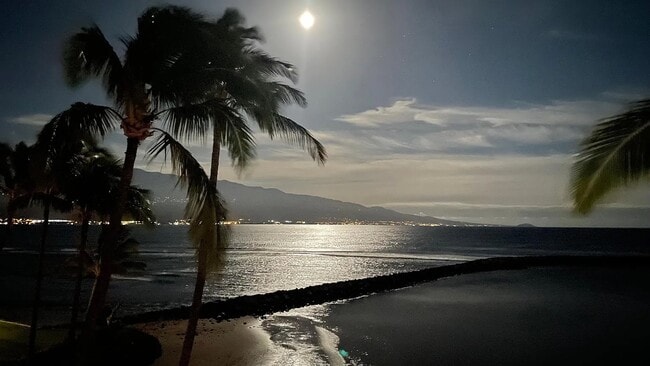 Building Photo - 30 Hauoli St