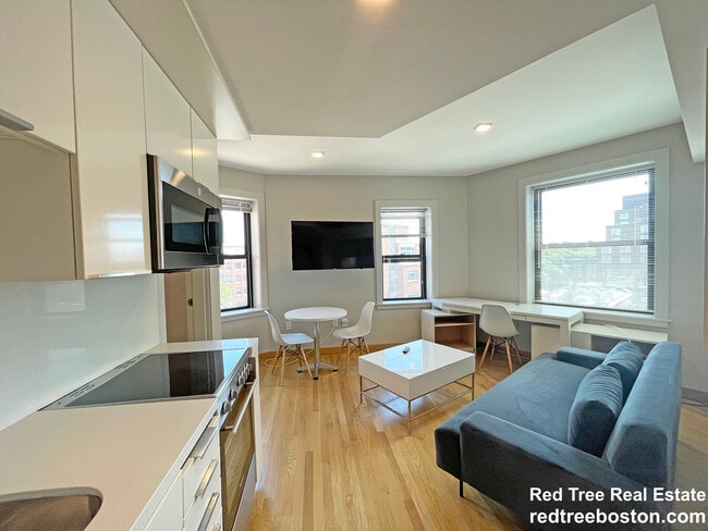 Primary Photo - 125 Mount Auburn St