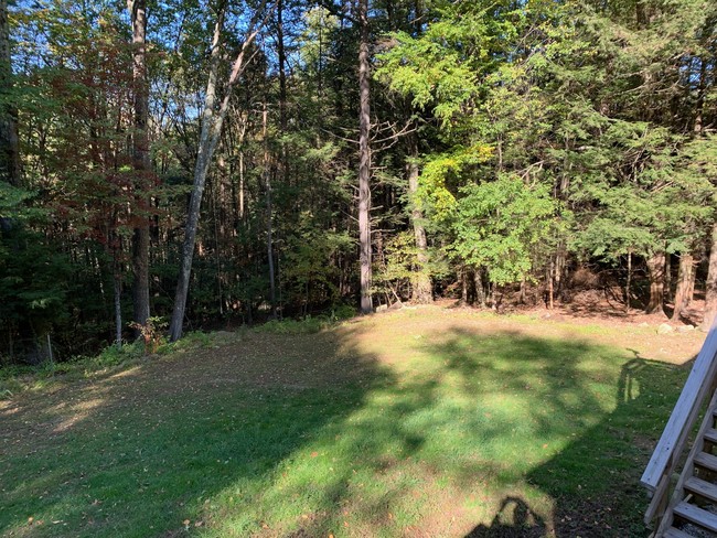 Yard - 24 Petticoat Hill Rd