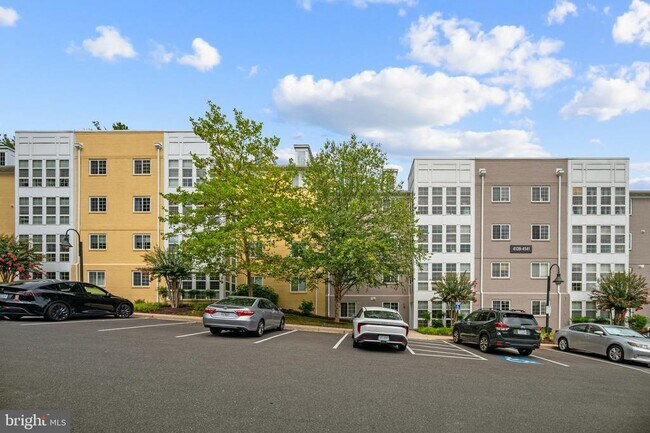 Building Photo - 4141 S Four Mile Run Dr