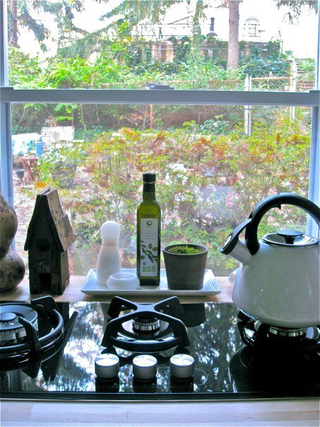 Stove and kitchen window - 2948 Albemarle St NW