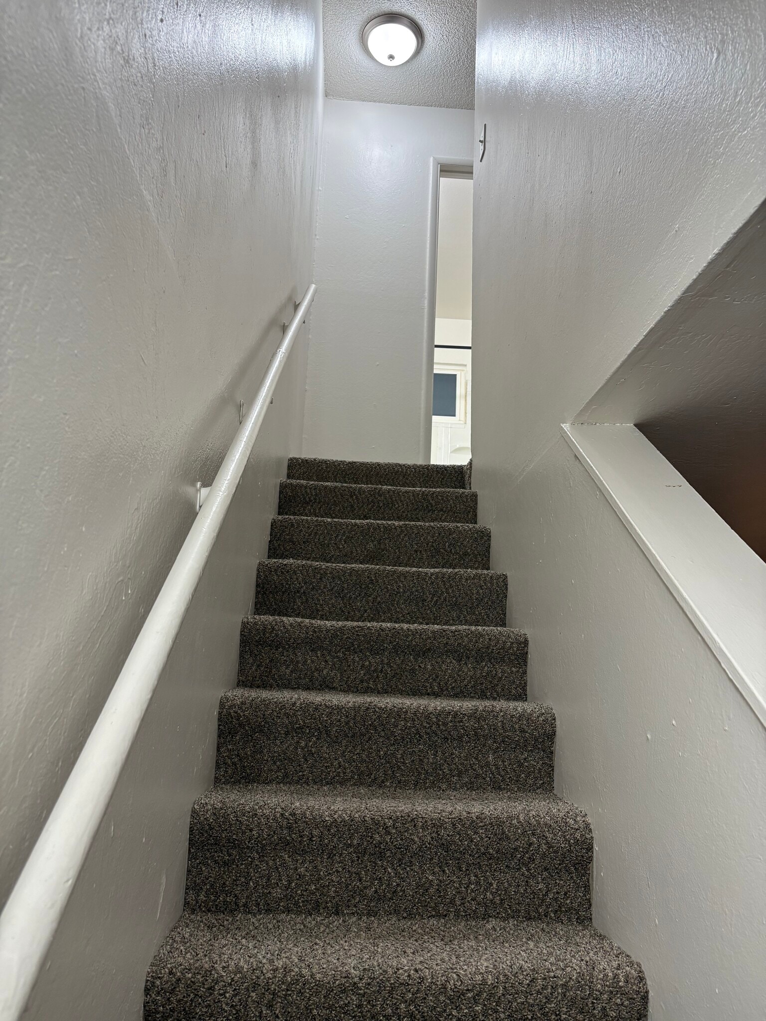 Building Photo - 2161 Patton Dr