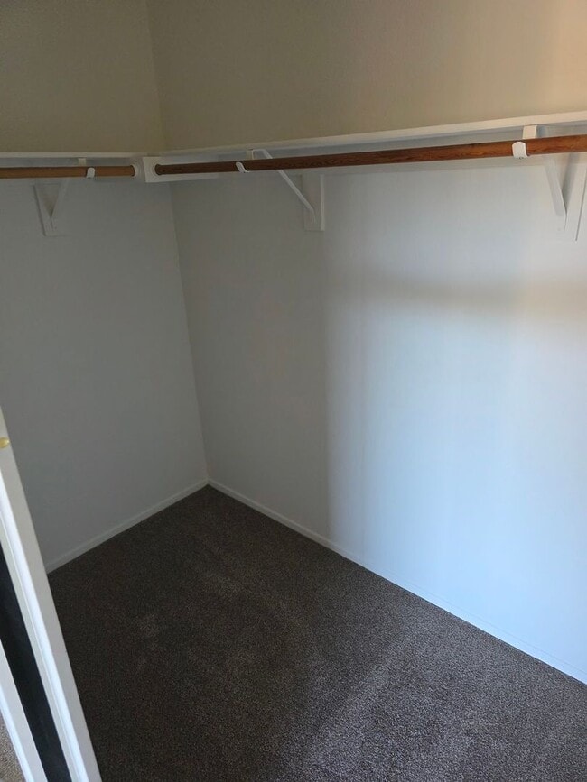 Building Photo - 4 Bedroom Home in Paloma del Sol. Fresh Pa...