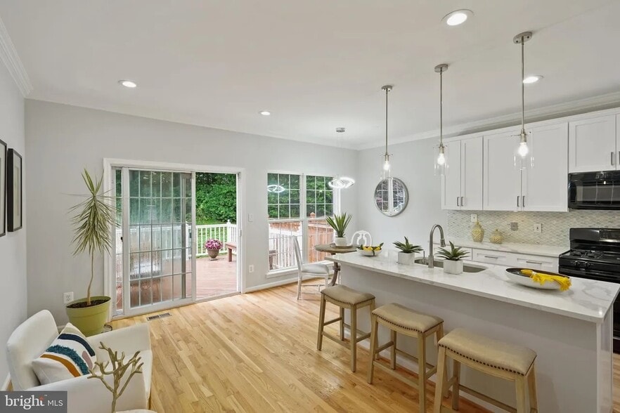 Renovated Kitchen - 1236 Vintage Pl
