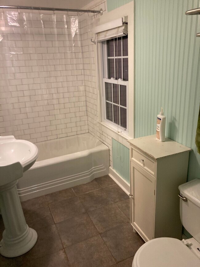 Full bath upstairs - 252 Loudoun St SW