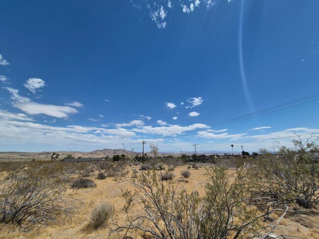 Building Photo - Joshua Tree Home with Awesome Views!