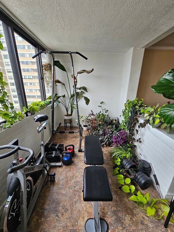 Building Photo - 8 Whittier Pl