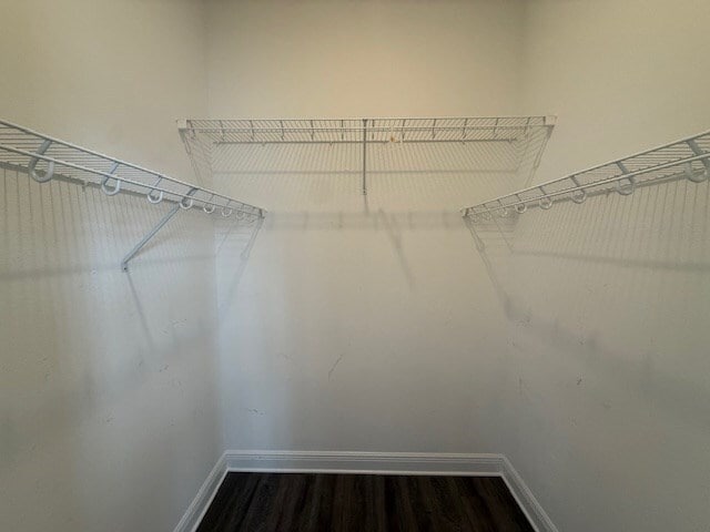 Building Photo - 307 Summercreek Cove