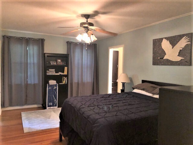 Building Photo - Updated Broadmoor Home!!