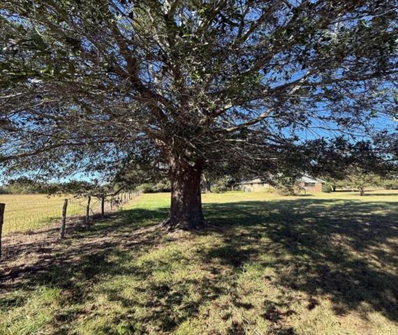 Building Photo - 15377 County Rd 1134