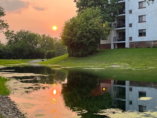 Building Photo - 350 Plum Creek Dr