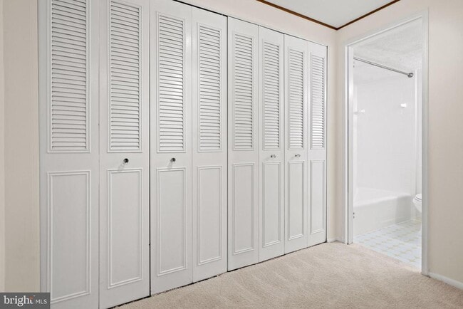 Building Photo - 4600 S Four Mile Run Dr