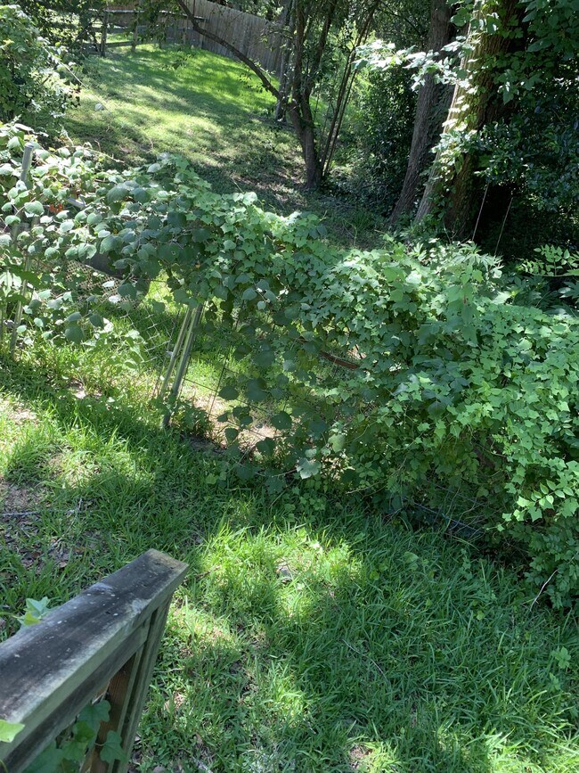 Building Photo - 603 Cache Cove Ct