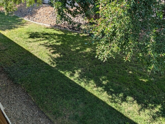 Building Photo - Gorgeous large Clarkston Heights duplex