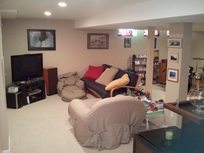 Basement Finished Area - 16939 Hickory Forest Ln