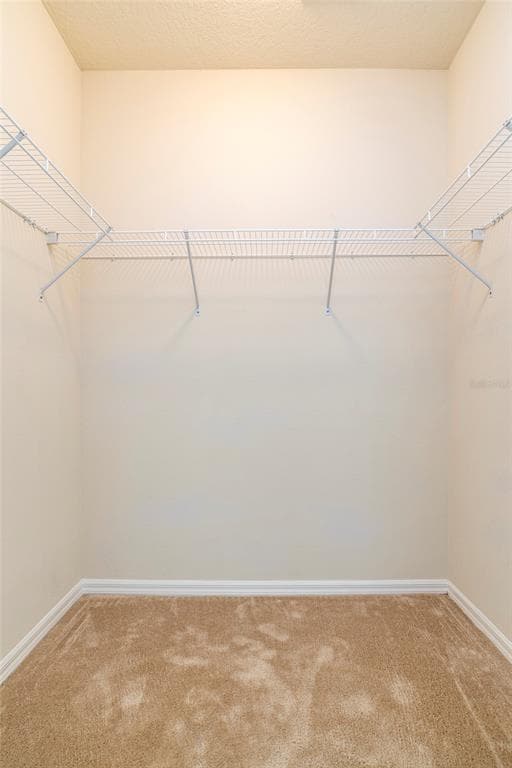 Building Photo - 304 Southern Pecan Cir