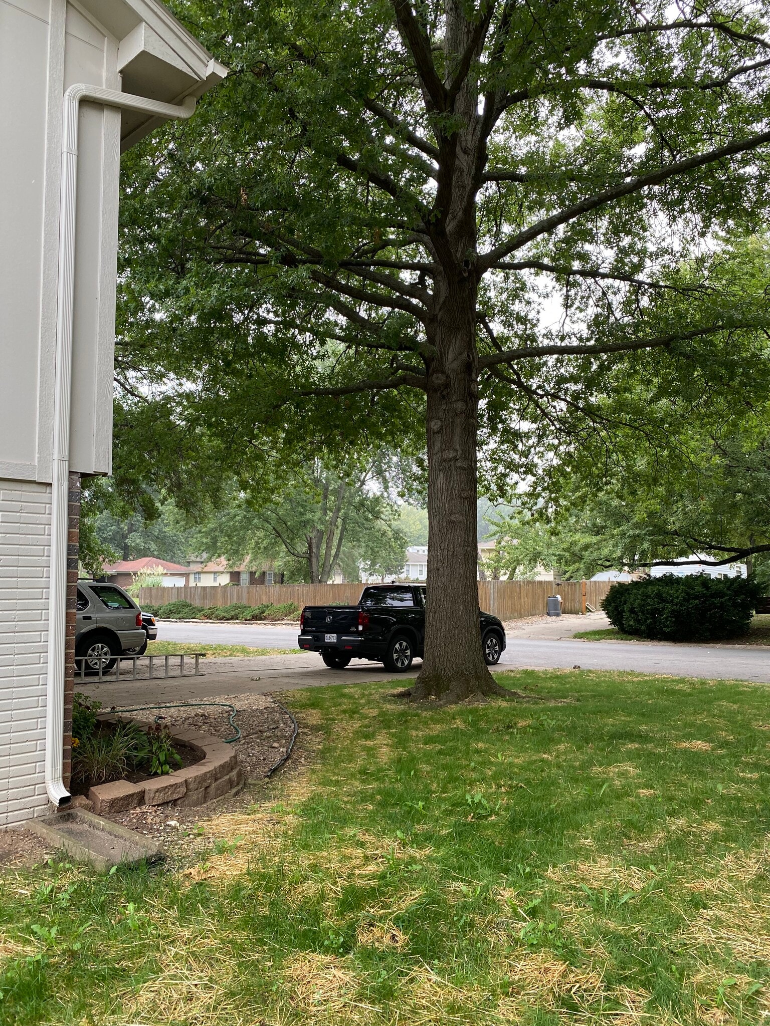 Building Photo - 1615 NE White Dr