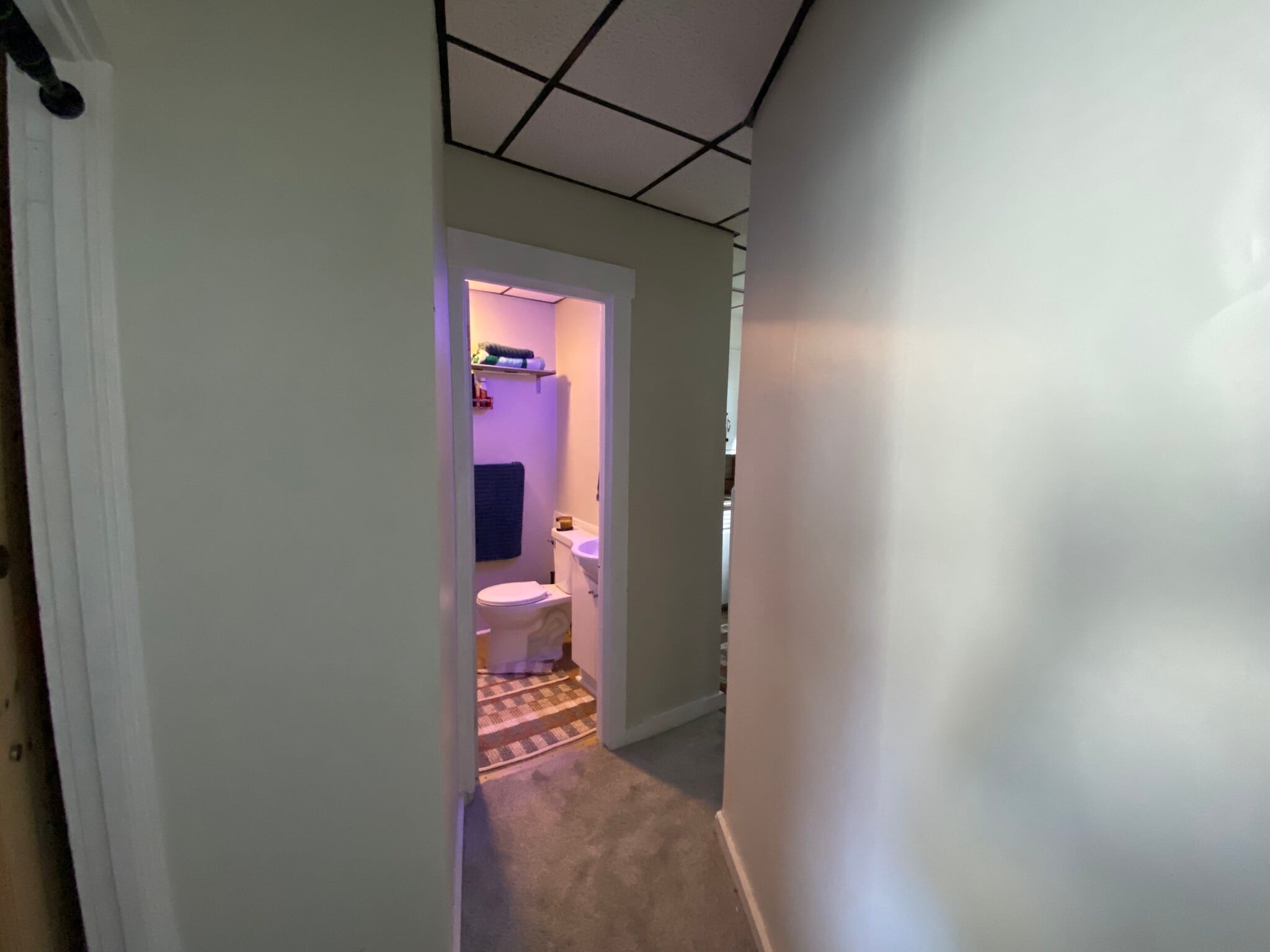 hall - 509 Oak St