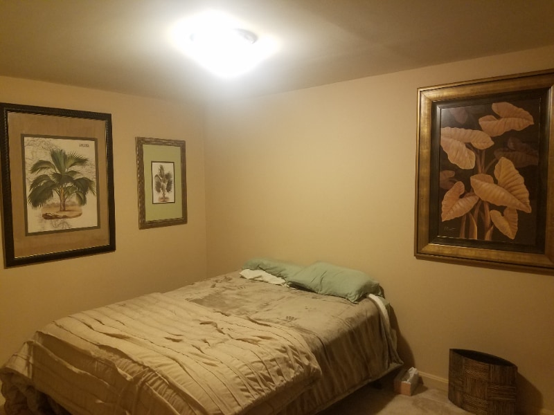 Building Photo - 11822 Great Owl Cir
