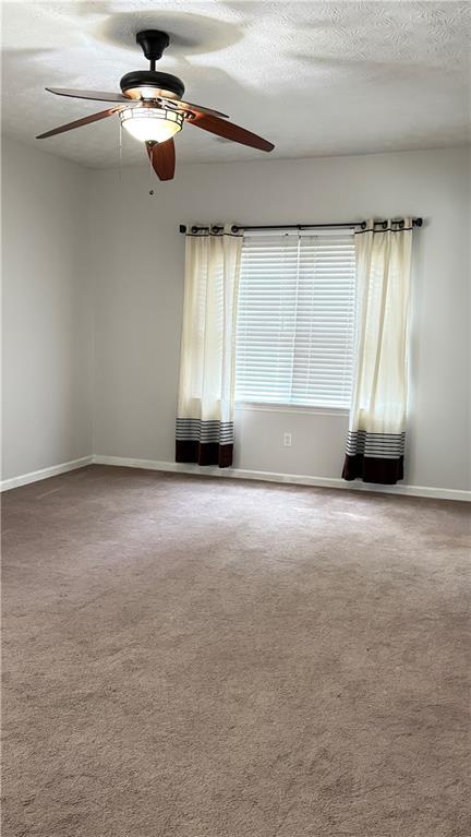 Building Photo - 1399 Sisters Ct