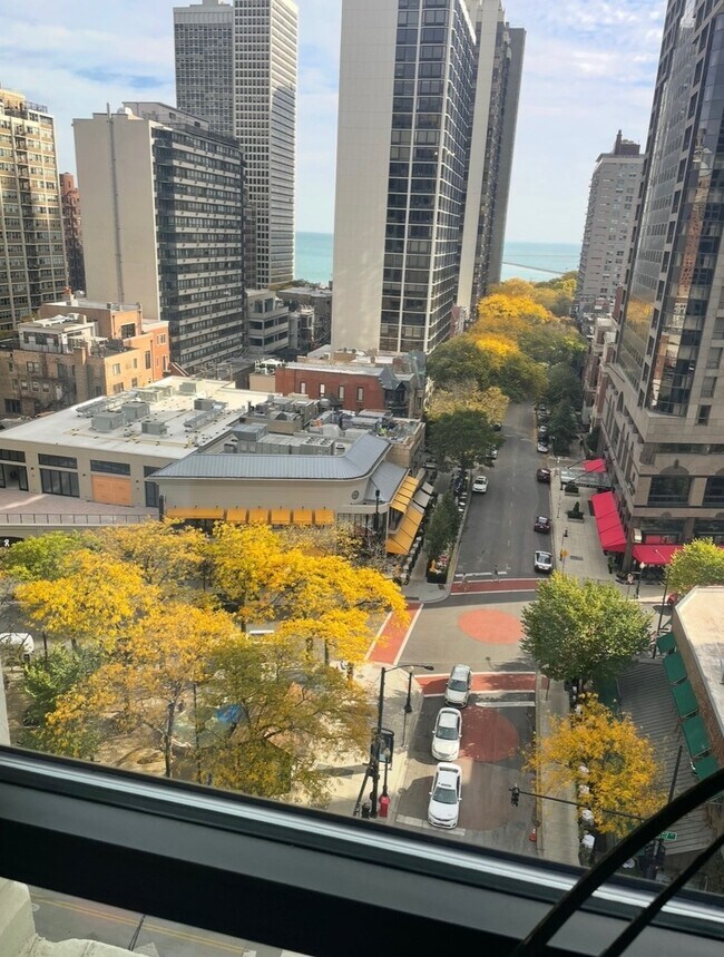 Building Photo - 1030 N State St