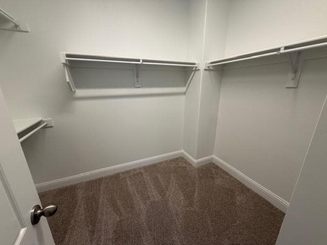 Building Photo - 3533 Treasure Dr