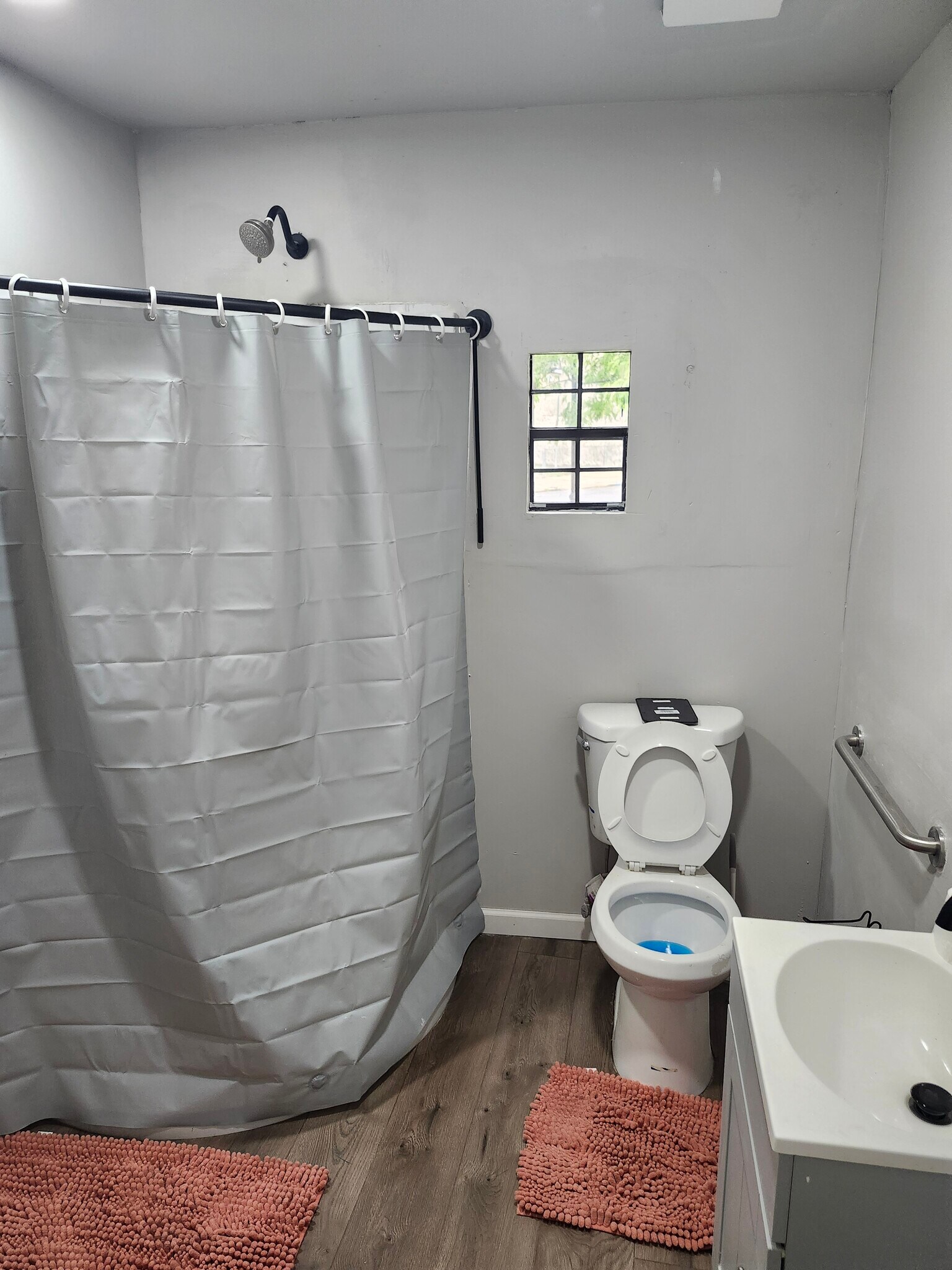 Toilet and bath - 10 Valley St