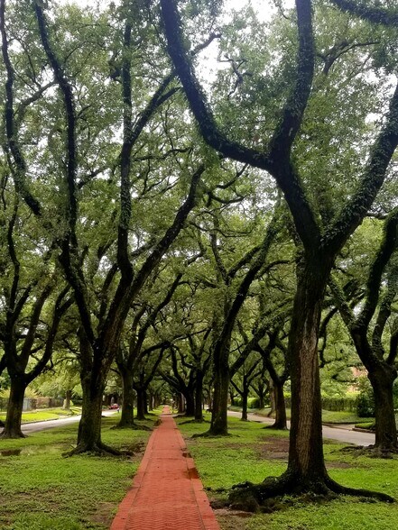 Neighborhood - 1806 Banks St